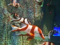 -福州罗源湾海洋世界旅游区