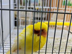 -三旗百汇商品城