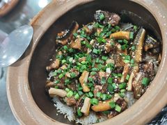 -红星光发煲仔饭(文海店)
