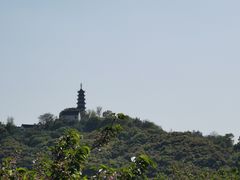 -苏州上方山国家森林公园