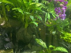 -上海海洋水族馆