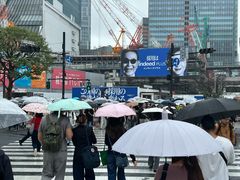 -涩谷全向十字路口