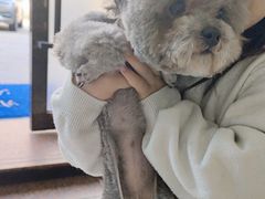 -诺比宠物医院心脏内科·泌尿肾内外科·骨科急重症