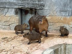 -南京金牛湖风景区
