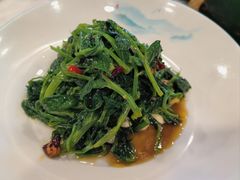 -阿西娅食府(中关村店)