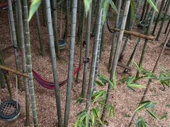 -陶祖圣境风景区