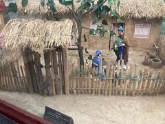 -武侯墓风景区