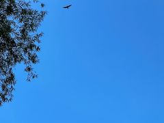 -颐和园
