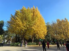 -玲珑塔公园