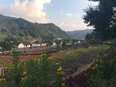 -大余丫山旅游度假区
