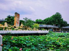 -东湖磨山景区