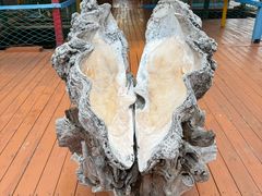 -蓝湾碧波·老字号·疍家非遗海上餐厅