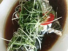 清蒸老虎斑-真味馆(侨港碧海银滩店)