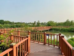 -芒洲湿地公园