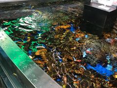 -盒马鲜生(莱蒙都会店)
