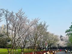 -白塘生态植物园