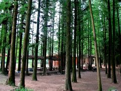 -南宁良凤江国家森林公园