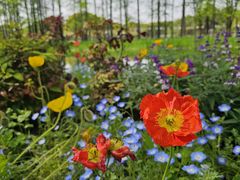 -共青国家森林公园-售票处