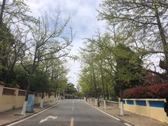-八大关景区