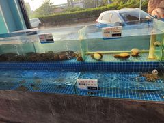 -友鹏海鲜(新宜白大道店)