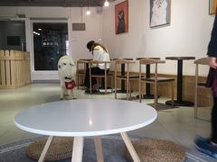 大堂-Heymao猫咖.咖啡厅(东门店)