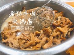 -老猫牛肉火锅(沙溪店)