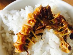 -金鹏鱼肉馆
