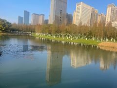 -艾溪湖湿地公园