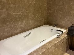 -河源万绿湖美思威尔顿酒店