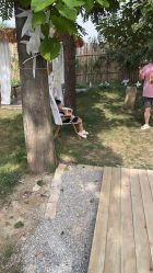 -DORA kids 朵拉儿童摄影花园店