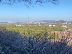 -香雪海