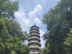 -灵谷景区