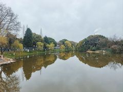 -太子山公园(园东路)