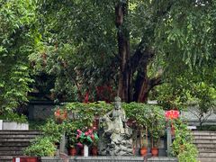 -南宁良凤江国家森林公园