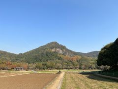 -八卦田遗址公园