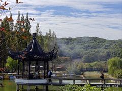 -苏州上方山国家森林公园