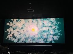 -深影国际影城(学院南路店CGS中国巨幕店)