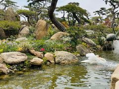 -罗红摄影艺术馆