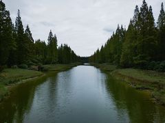 -黄海国家森林公园