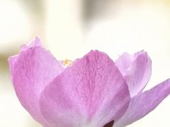 -徐家汇源景区-衡山公园