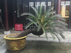 -包公祠