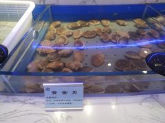 -澜悦港海鲜体验主题餐厅