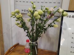 -乐老大耳道·可视采耳·禅洗(柏林爱乐直营店)