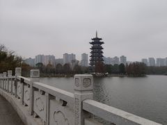 -洋湖国家湿地公园