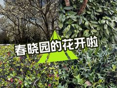 -曲江春晓苑