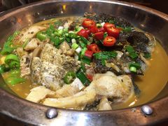 -钓台野鱼馆(钱江国际时代广场店)