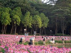 -顺峰山公园