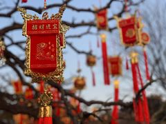-北京石景山游乐园