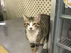 -公利真料竹蔗水(中环店)