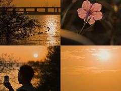 -宝安西湾红树林湿地公园